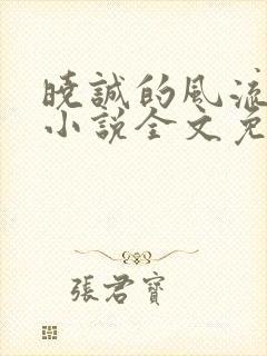 晓诚的风流人生小说全文免费阅读最封面