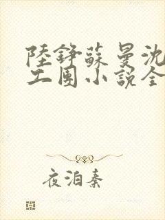 陆铮苏曼沈婉文工团小说全文阅读