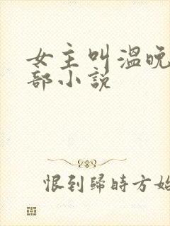 女主叫温晚的全部小说