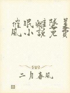 催眠雌坠美人沈风小说免费阅读封面