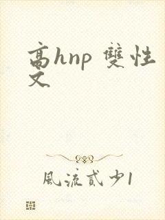 高hnp 双性文封面