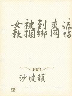 女被到爽流片调教捆绑网站