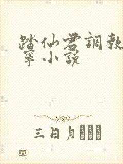 踏仙君调教楚晚宁小说