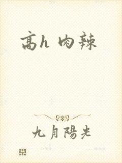 高h 肉辣