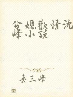 公媳欢情沈曼江峰小说