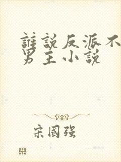 谁说反派不能当男主小说