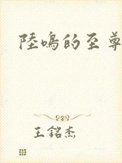 陆鸣的至尊神殿