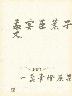 孟宴臣叶子同人文