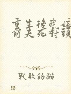 重生后我嫁给了前夫死对头/封面