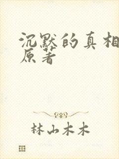 沉默的真相小说原著