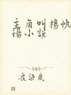 主角叫杨帆的官场小说封面