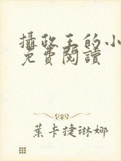 摄政王的小狂妃免费阅读