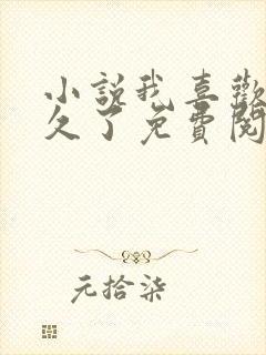 小说我喜欢你很久了免费阅读封面