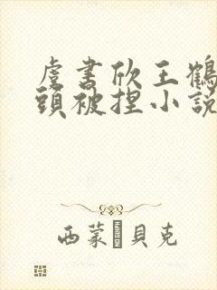 虞书欣王鹤棣奶头被捏小说封面