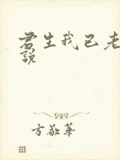 君生我已老 小说封面