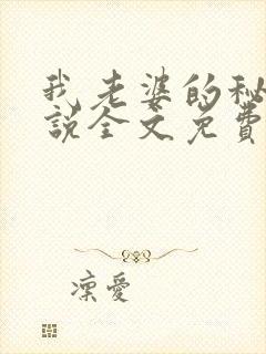 我老婆的秘密小说全文免费阅读