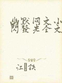 幽默网文小说闪闪发光全文阅读