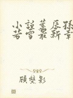 小说叶辰孙怡夏若雪最新章节阅读