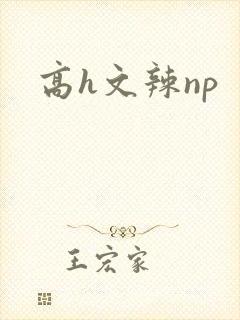 高h文辣np