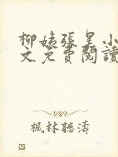 柳姨张昊小说全文免费阅读