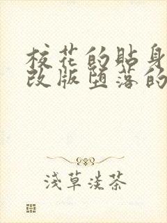 校花的贴身高手改版堕落的校花封面