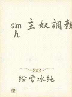 sm 主奴调教 h封面