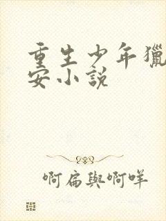 重生少年猎美赵安小说封面