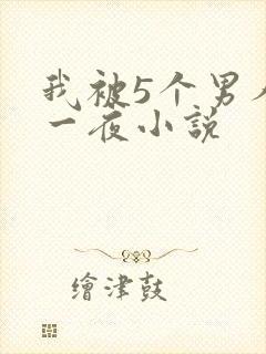 我被5个男人躁一夜小说