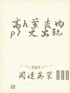 高h荤爽肉〈np〉文出轨