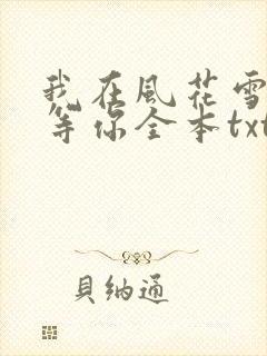 我在风花雪月里等你全本txt