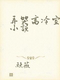 弄哭高冷室友 小说