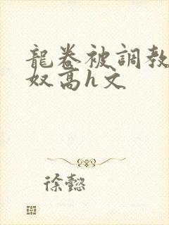 龙卷被调教成肉奴高h文封面