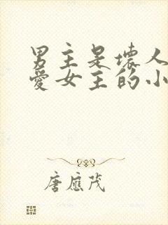 男主是坏人但很爱女主的小说