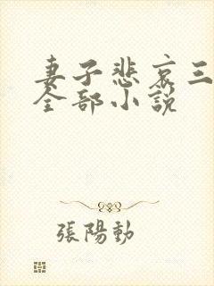 妻子悲哀三部曲全部小说