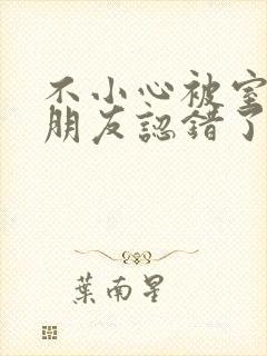 不小心被室友男朋友认错了宁笑阿温封面