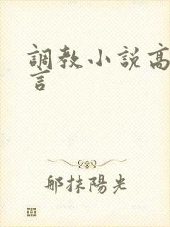 调教小说高h古言