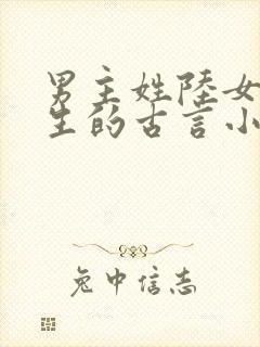 男主姓陆女主重生的古言小说