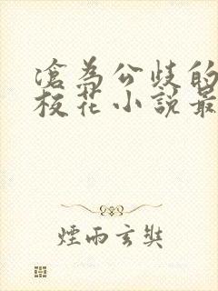 沧为公歧的清纯校花小说最新章节