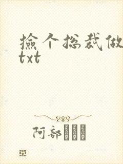 捡个总裁做老婆txt