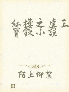 红楼之虐王夫人宝钗小说