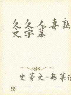 久久人妻熟女中文字幕