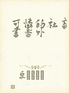 可怜的社畜实体书番外封面