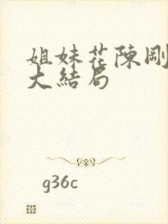 姐妹花陈刚小说大结局