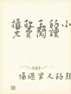 摄政王的小闲妻免费阅读