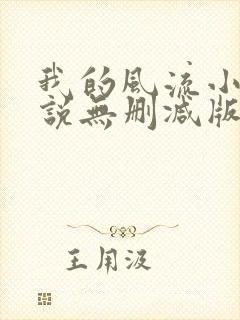 我的风流小姨小说无删减版