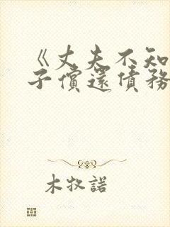 《丈夫不知道妻子偿还债务》动漫