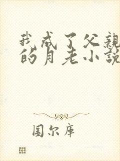 我成了父亲妻子的月老小说