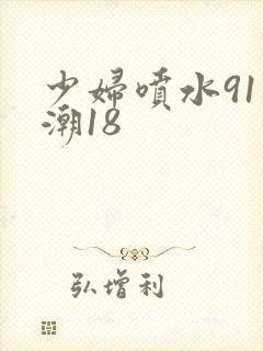 少妇喷水91高潮18