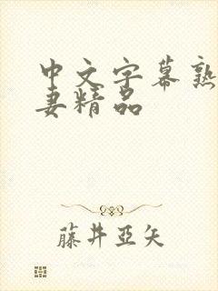 中文字幕熟女人妻精品