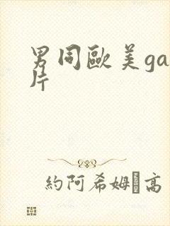 男同欧美gay片封面